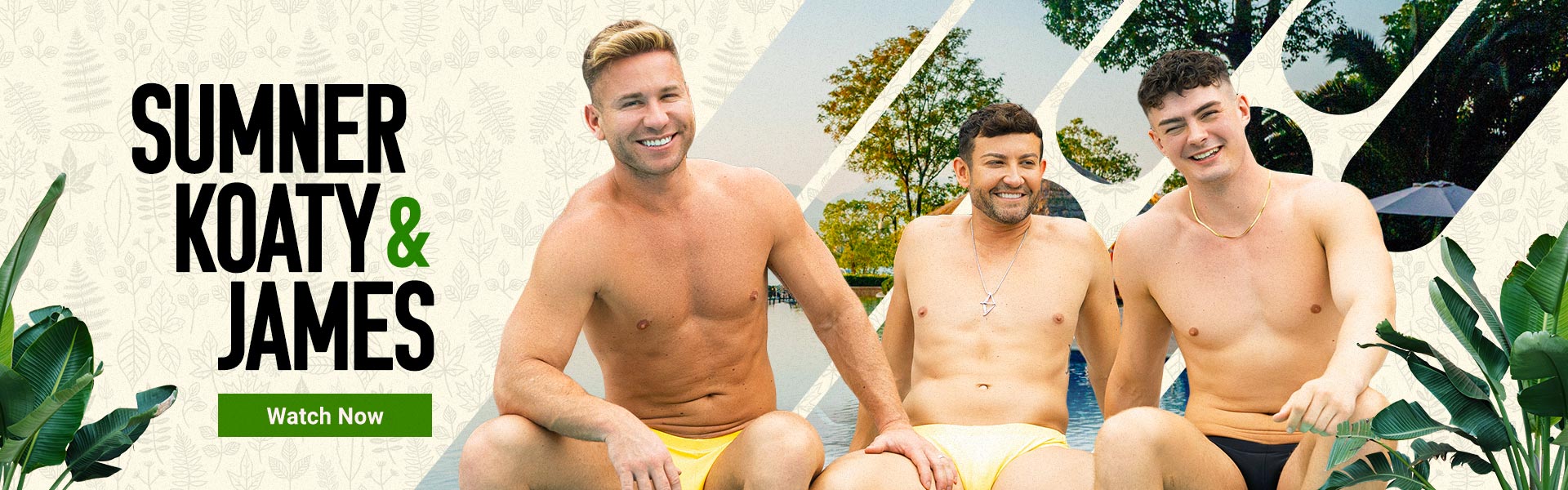 Sean Cody — gay porn site banner